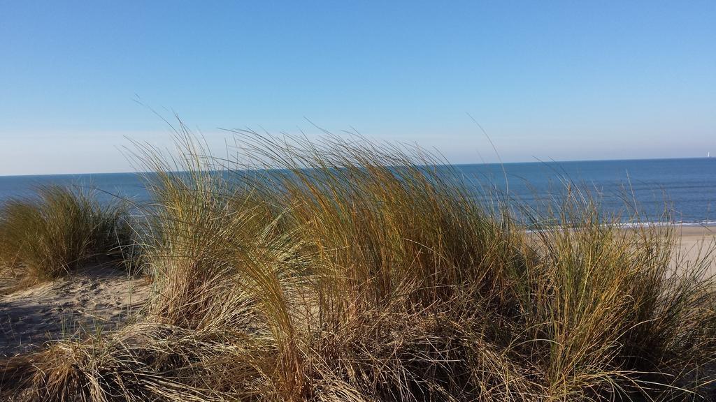 Ferienwohnung Joussac Cote Plage - Vue Ocean Soulac-sur-Mer Zimmer foto